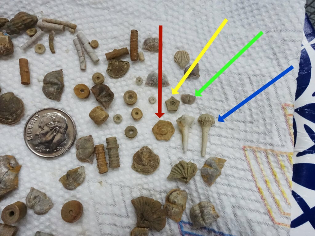 Identification of finds